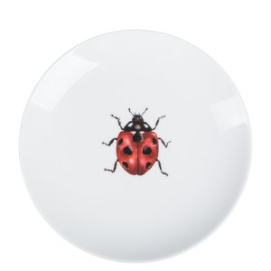Teller Ladybug, Ø 16 cm